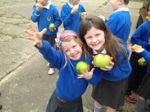 Mrs. Brolly's class visit a local orchard