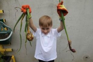 Harvest Time