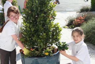 Mrs. Smith's class plant winter shrubs