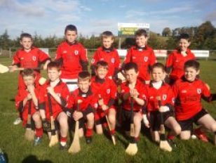 P6 and 7 pupils attend hurling and Camogie Blitz