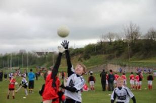 Primary 7 children attend football Blitz