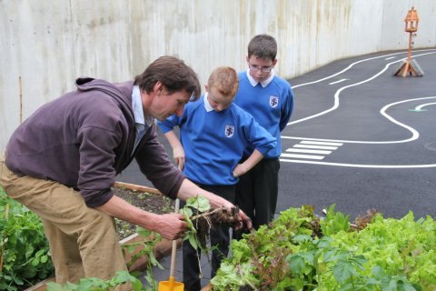 Gardening