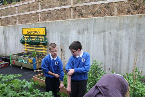 Gardening