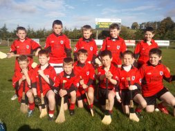 P6 and 7 pupils attend hurling and Camogie Blitz