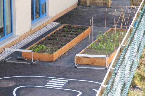 Vegetable Garden