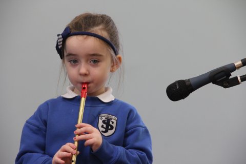 Tin whistle