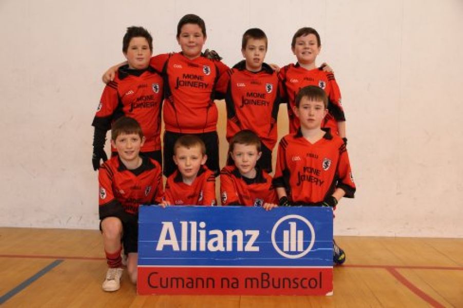 Cumman Na mBunscol Indoor Football