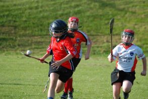 camogie